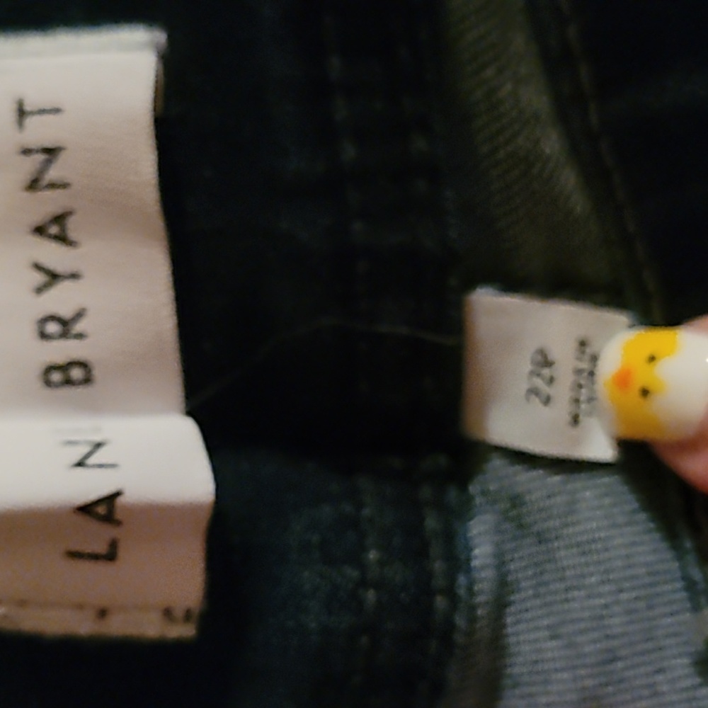 Lane Bryant stretchy skinny jeans